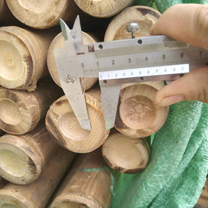 ไม้ไผ่ธรรมชาติจากเวียดนาม สำหรับงานก่อสร้าง เฟอร์นิเจอร์ ผลิตภัณฑ์นิรภัย ตกแต่งสวน และงานโครงสร้าง - Product Image 1