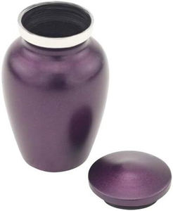 Decorative Stainless Steel Modern Eco-Friendly Pet Cremation Urns <b>for</b> Dog <b>Ashes</b> Small Funeral Supplies Wholesale - Product Image 1