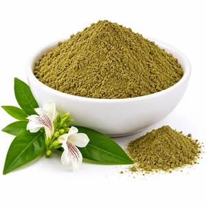 Extracto de Hoja de Adhatoda Vasica en Polvo, Extracto Botánico Premium para Aplicaciones de Suplementos Herbales, Suministro del Fabricante, OEM - Product Image 6