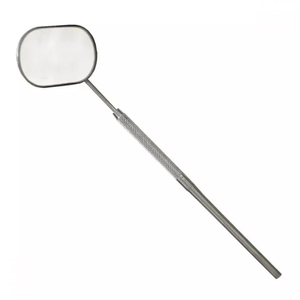 Espejo Cosmético Iluminado de Una Sola Cara, Tamaño de Bolsillo, Marco Ovalado de Acero Inoxidable, Instrumentos para Pestañas, Personalizado, Precio de Fábrica - Product Image 1