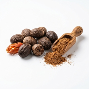 Nuez Moscada en Grano y en Polvo de Alta Aroma, Especia Natural Premium de Grado Alimenticio, Condimento Herbal Saludable, Suministro al por Mayor, Suministro para Exportación - Product Image 3
