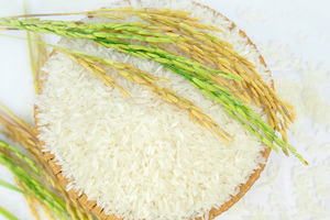Riz Jasmin Blanc Brisé VILACONIC 5% 50kg Long Grain Dur Séché pour l'Afrique - Product Image 6