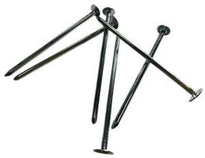 ตะปูเหล็กชุบสังกะสีแบบมีห่วง ขนาด 1"-3" สำหรับงานก่อสร้างไม้ - Product Image 2