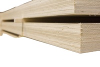 South Yellow Pine LVL Sheet High Quality Veneer Lumber Thailand Graphic Design Solutions Modern Workshop Construction 1 Year
