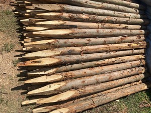 Piquets en bois d'eucalyptus et d'acacia, piquets de soutien pour arbres en bois dur naturel pour l'agriculture, le jardinage et l'aménagement paysager - Product Image 3