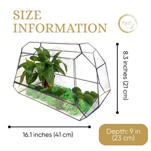 Terrario de Vidrio de Gran Tamaño, Decorativo para Interiores, Decoración de Mesa para Entrada o Consola, Ideal para Bienvenida de Invitados - Product Image 2