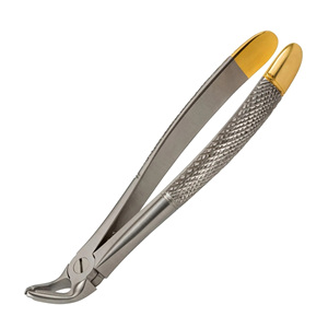 Extremo Romo, Instrumentos dentales de extracción de acero inoxidable recto, pinzas de extracción médica, alicates, Punta dentada - Product Image 2