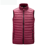 Veste d'hiver décontractée pour homme, 100% polyester, rembourrée, imperméable, réversible, à capuche, fermeture éclair sur le devant, col montant