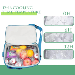 Women's 600D Mini Lunch Cooler Bag Multifunctional Optimal Convenience Office & School Work Bag Small Size - Product Image 5