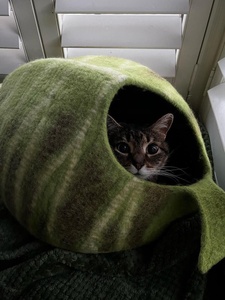 ถ้ำแมวทำจากขนสัตว์ - Product Image 6