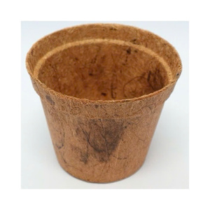 Fibra de Piña Natural Tejida: Opción Sostenible para Industrias Ecológicas - Product Image 1