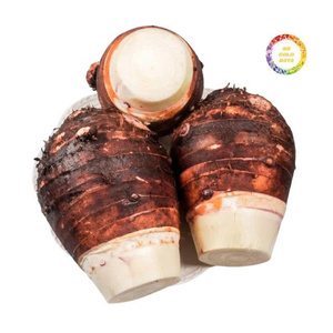 Raíz de Taro Congelada y Yuca Congelada de Vietnam: Proveedor Confiable para la Industria de Procesamiento de Alimentos - Product Image 1
