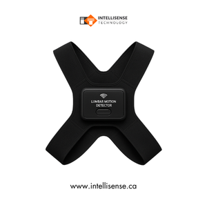 Intégration de capteurs de posture portables avec des applications de santé mobiles pour une gestion proactive de la sécurité au travail - Product Image 5