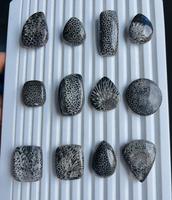 Vente en gros de cabochons de corail noir fossile naturel de haute qualité – Pierre précieuse de corail agatisé pour bijoux féminins