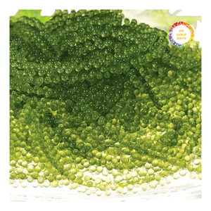 Uvas de Mar Secas, Larga Duración, Fácil Almacenamiento - Product Image 1
