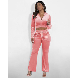 Conjunto de Sudadera Corta de Terciopelo Rosa y Pantalones Jogger con Cremallera Completa, Manga Larga, Ajuste Holgado, Chándal Casual de Dos Piezas para Mujer - Product Image 2