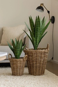Juego de 2 cestas de ratán con asas para plantas de interior, decoración del hogar y jardín, almacenamiento y cubierta para macetas, de la India. - Product Image 5