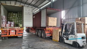 Chewing-gum au xylitol frais 11,6g sans sucre pour une haleine fraîche – Prix compétitif, approvisionnement en gros, export - Product Image 5