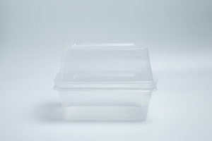 กล่องพลาสติกทรงสี่เหลี่ยมแบบใช้แล้วทิ้ง ขนาด 650 มล. 750 มล. 1000 มล. สำหรับใส่อาหาร/ผลไม้/สลัด พร้อมฝาปิด โปร่งใส รับทำโลโก้ตามสั่ง ลดราคาพิเศษ ปี 2026 - Product Image 2
