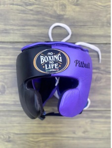 Custom Made Professional No Boxing No Life Purple and Blue Sparring Set Including Boxing <b>Gloves</b> - Headgear - Groin Guard - Product Image 5