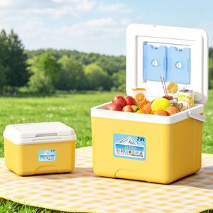 Glacière isotherme portable en plastique PP de 22 L avec blocs de glace pour hôpital, camping, maison et stockage au froid en voiture - Product Image 5
