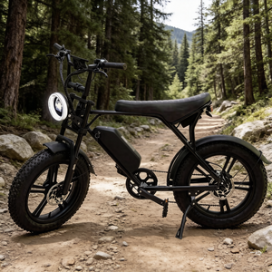 Bicicleta Eléctrica de 20 Pulgadas con Doble Suspensión, Frenos de Disco Dobles sin Escobillas, Batería de Litio de 48V 13AH para Ciclismo Todoterreno, Playa, Bosque, Ciudad Urbana - Product Image 5