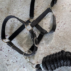Collar de cuero halter de diseño personalizado para caballos, equipo ecuestre, halter de cuero con acolchado suave de Alexandria Industries - Product Image 2