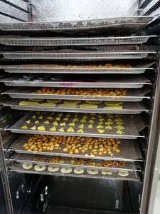 Máquina deshidratadora de alimentos comercial Fruta Especias Carne Yuca Vegetal Bomba de calor Secador 1kw Carne industrial Jengibre Horno de secado - Product Image 2