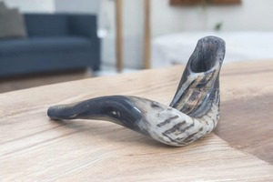 Cuerno de Shofar Natural, Económico, Hecho a Mano, para la Oración Judía, Rituales y Prácticas Espirituales - Product Image 6