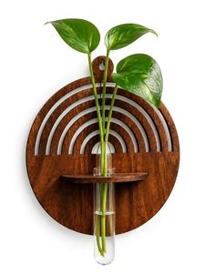Soporte de Pared Moderno Hecho a Mano para Macetas de Bambú, Decoración para Plantas de Interior - Regalo - Product Image 2