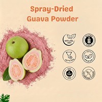 Heetverkopende biologische niet-GMO gesprayde guavapoeder, bulk, voedingskwaliteit, natuurlijk vacuüm verpakt, voor dranken, bakkerijen en zuiveltoepassingen
