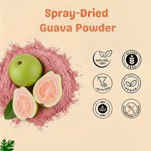 Poudre de goyave biologique séchée par atomisation, qualité alimentaire, naturelle, en vrac, pour boissons, boulangerie et produits laitiers – Meilleures ventes - Product Image 2