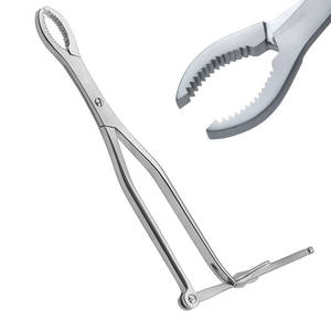 Instrumentos Quirúrgicos para Sujetar Huesos, Ortopédicos, de Acero Inoxidable, Profesionales, de Alta Precisión - Product Image 1