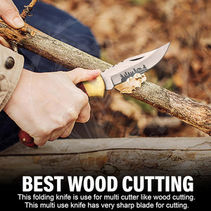 High Hardness Stainless Steel Blade Folding Knife Portable Multi-Use Household Fruit and Camping Survival Pocket Knife - Product Image 2