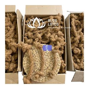 Jouet à mâcher pour chien et chat en corde de coco naturelle écologique, le plus vendu, durable, pour soins dentaires, soulagement du stress, dressage, anniversaire/Halloween - Product Image 1
