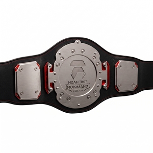 Ceinture de récompense sportive, construction métallique durable, design de trophée haut de gamme pour la lutte, la boxe, les arts martiaux, ceinture de championnat professionnelle - Product Image 2