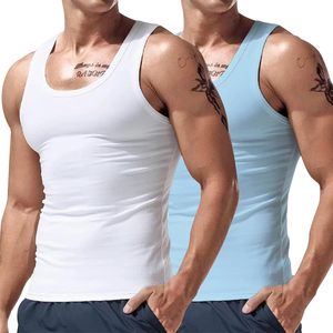Gilet d'entraînement STELLAR en coton côtelé, conception sans couture, coton peigné filé à anneaux, respirant, idéal pour l'entraînement en salle de sport, pour hommes - Product Image 1