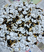 Pierres précieuses ASHU GEMS de haute qualité, œil de Shiva, pierres précieuses naturelles en vrac, cabochons de formes variées, 20-50 mm, certifiées par une tierce partie, Rajasthan