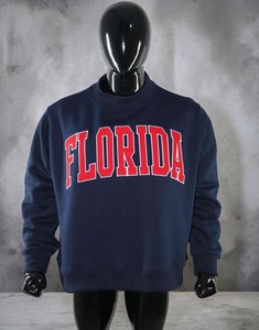 Florida Letter <b>Mock</b> <b>Neck</b> Print Crew <b>Neck</b> Sweatshirt Men's Regular Fit Fleece Pullover Casual Autumn Wear - Product Image 2