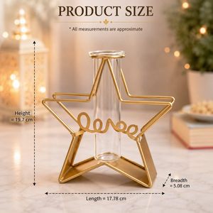 <b>Flower</b> Vase with Glass Tube Metal <b>Wire</b> Star Shaped for Home Decor Glass Vase Attractive <b>Flower</b> Vase Table Top Decor for Sell - Product Image 1