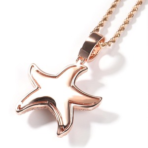 High Quality Trendy Brass Zirconia CZ Bling Rope <b>Chain</b> Hip Hop Rock Punk Men Rapper Jewelry <b>Iced</b> <b>Out</b> Starfish Pendant - Product Image 3