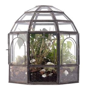 Terrario de Vidrio Multiusos Hecho a Mano con Marco de Hierro Negro, Soporte para Pilar, Decoración para Hogar, Jardín, Bodas y Navidad - Product Image 1