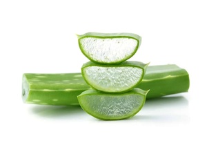 Factory Direct Canned Aloe Vera <b>Jelly</b> Soft Texture Refreshing Taste Private Label Service - Product Image 2