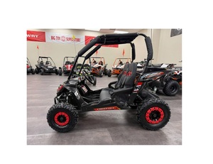 Véhicule tout-terrain intelligent TrailMaster Cheetah 6 UTV 2025 POUR ADULTES - Product Image 1