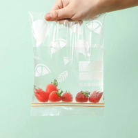 Sacs en plastique PE transparents biodégradables OEM avec fermeture à glissière pour l'emballage d'échantillons, d'accessoires et de petits articles avec impression personnalisée