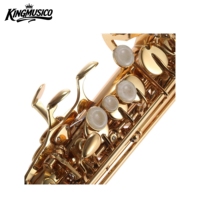 Bb Soprano Saxophone Brass Body with Case Mouthpiece and Accessories for Students