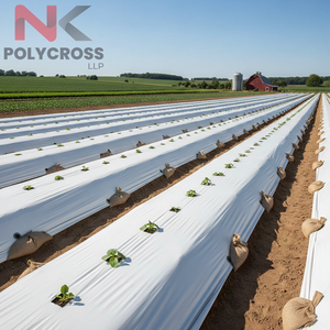 Toile agricole écologique et biologique pour une culture durable, toile agricole biologique pour le contrôle des adventices et la rétention de l'humidité - Product Image 2