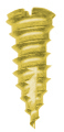 Tornillo de Cabeza de Queso de Latón, Diámetro de la Tapa de 10 mm, Rosca Estándar, Medida Métrica - Product Image 6