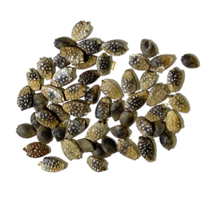 Made In Vietnam Top Notch Quality Competitive Price Selected Dried Passion Fruit <b>Seeds</b> <b>Packed</b> in 25kg Bag - Product Image 2