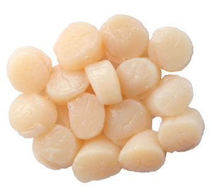 หอยเชลล์แช่แข็งสำหรับผู้ซื้อขายส่ง - Product Image 1